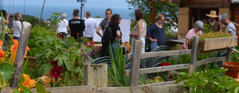 jardins familiaux : avant plant fleuri de capucines puis légumes