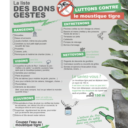 campagne moustique-tigre