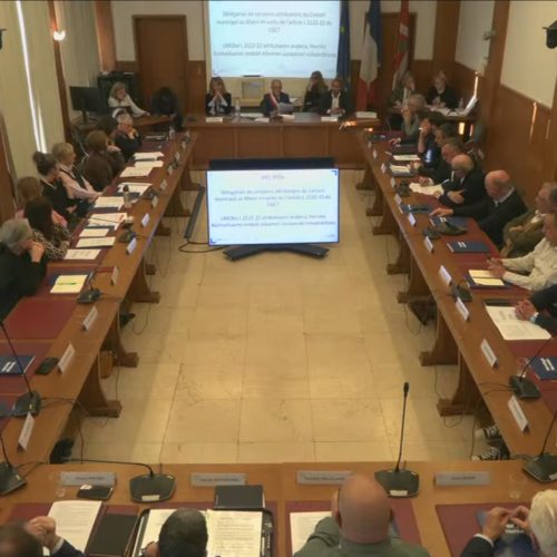 Image du conseil du 27 mars